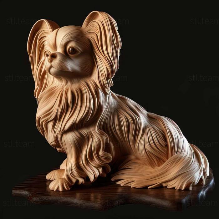 Continental Toy Spaniel dog